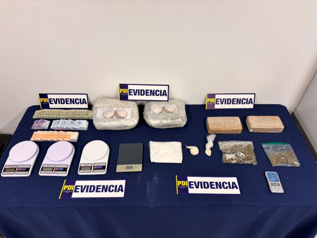 WhatsApp Image 2026-02-13 at 17.24.54