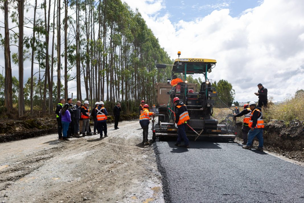 WhatsApp Image 2026-02-14 at 12.13.07