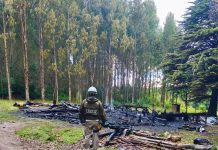 Adulto mayor falleció en un incendio que afectó a una vivienda de un sector rural de Fresia
