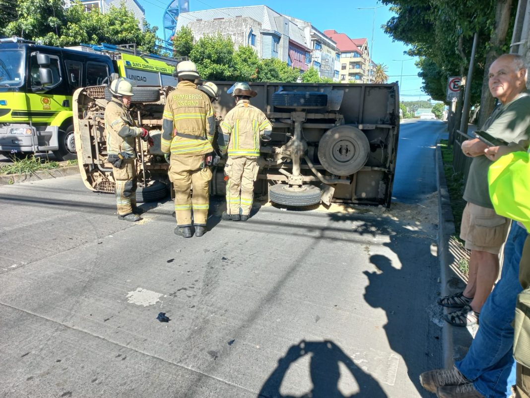 WhatsApp Image 2026-02-16 at 16.17.35