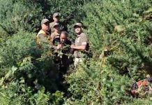 Hallan con vida a José Vallejos Carrasco tras desaparecer del hospital de Puerto Montt hace seis días