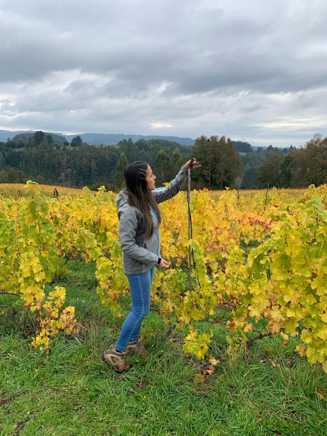 WhatsApp Image 2026-02-25 at 15.01.01