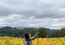 Investigadora osornina lidera estudio internacional sobre futuro de la vitivinicultura ante cambio climático en América Latina