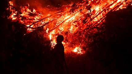 foto_0000000420260215095818