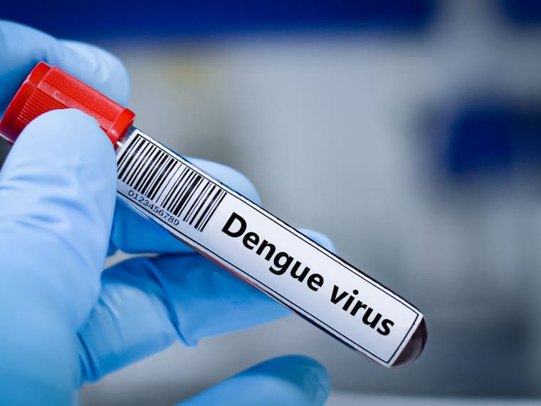 EREMG3EVSBEWREJLYVOJ3EZJOM