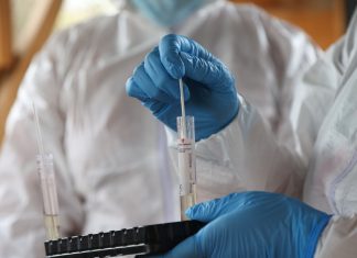 SAG autosuspende certificación de exportaciones avícolas tras confirmación de plantel comercial positivo a influenza aviar