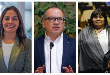 Diputados de Los Lagos figuran en lista de ocho parlamentarios morosos del Fondo Solidario