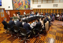 Plan Salmón 2050: Proponen reforma a Ley Lafkenche y determinar si la consulta indígena es o no vinculante