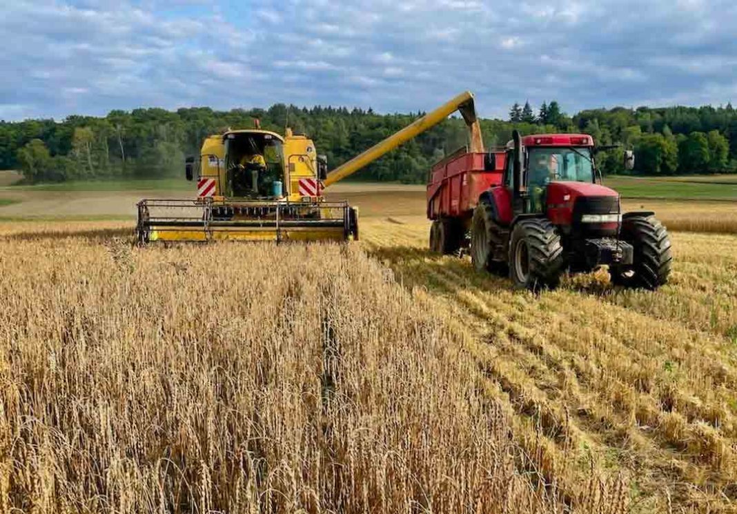 Informe-detecta-alza-sostenida-en-el-valor-de-tierra-agricola-en-Biobio-y-La-Araucania