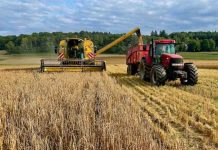 Diputada Paulina Muñoz pide incluir al agro en medidas de mitigación por alza de combustibles