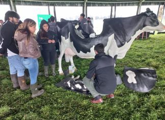 La ruta del estudiante inicio el Field Days Latinoamérica 2026 en Manuka Farm