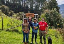 Vitis Los Lagos marca hito con la vinificación de su primer vino colectivo