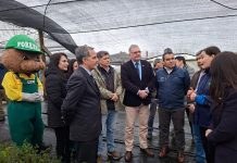 Invierten $232 millones en moderno centro de CONAF para reforestación nativa en Los Lagos