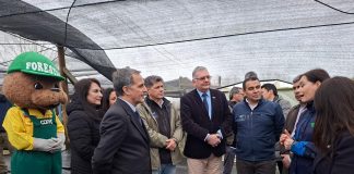 Invierten $232 millones en moderno centro de CONAF para reforestación nativa en Los Lagos