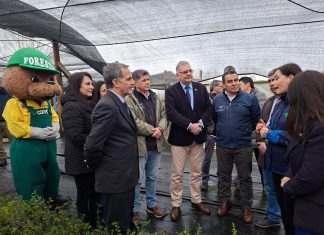 Invierten $232 millones en moderno centro de CONAF para reforestación nativa en Los Lagos