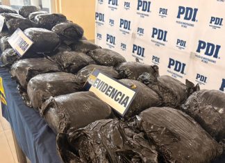 Histórica incautación en Aysén: Desbaratan clan familiar que ocultaba 39 kilos de marihuana en camiones de mudanza