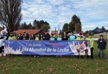 Gremio destaca oportunidades de empleo para jóvenes del sector en Día Mundial de la Leche