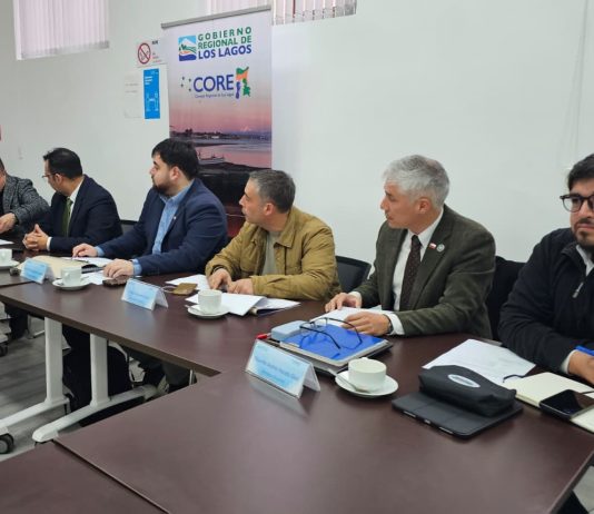 Comisión Provincial Osorno del CORE pide priorizar la adquisición de equipo ECMO