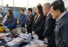 Con 54 detenidos se realiza audiencia de Operación Nereida en Valdivia