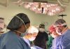 Hospital Puerto Montt llama a derribar mitos y retomar el compromiso con la donación de órganos