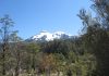 CONAF Los Lagos reitera llamado a la precaución en áreas protegidas, ante el fallecimiento de un montañista en volcán Calbuco