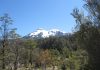 Fuerza Aérea recupera cuerpo de excursionista fallecido en volcán Calbuco