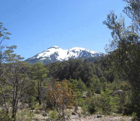 Fuerza Aérea recupera cuerpo de excursionista fallecido en volcán Calbuco