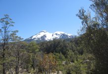 CONAF Los Lagos reitera llamado a la precaución en áreas protegidas, ante el fallecimiento de un montañista en volcán Calbuco