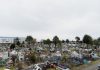 Colapso en cementerios municipales en Puerto Montt: familias deben buscar sepulturas fuera de la ciudad