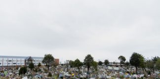 Colapso en cementerios municipales en Puerto Montt: familias deben buscar sepulturas fuera de la ciudad