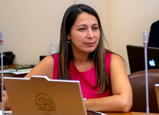 Diputada osornina integra comisión por niños haitianos y alerta: «No se puede descartar tráfico de órganos»