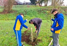 Para celebrar el Día Mundial del Medio Ambiente, escolares plantan árboles en Parque Chuyaca