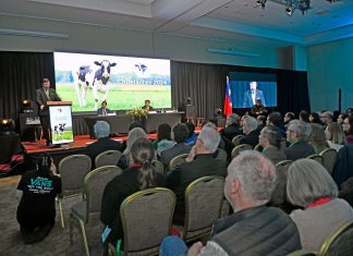 Chile Lácteo 2026 llega a Osorno: Innovación y mercados globales marcarán la pauta del sector