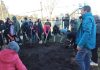 Más de 60 voluntarios participaron en la creación de un nuevo Bosque de Bolsillo Miyawaki en la Escuela España de Osorno