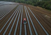 Agroindustria en la Macrozona Sur: exportaciones crecen un 24% impulsadas por seguridad hídrica