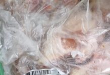 La autoridad sanitaria inició sumario a fábrica de cecinas en Purranque