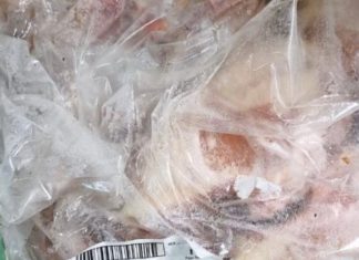 La autoridad sanitaria inició sumario a fábrica de cecinas en Purranque