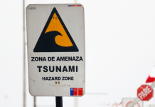 SHOA descarta tsunami para costas chilenas tras sismo en el océano Pacífico