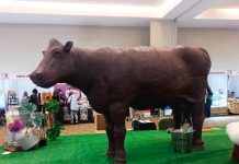 Osorno se prepara para el Festival del Chocolate 2026 con una escultura solidaria de más de 600 kilos