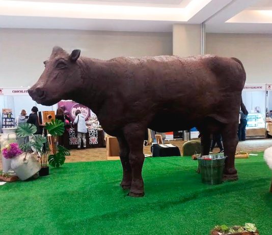Osorno se prepara para el Festival del Chocolate 2026 con una escultura solidaria de más de 600 kilos