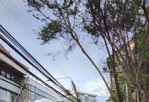 Camión de gran envergadura daña poste en centro de Osorno: Saesa informa trabajos de reposición