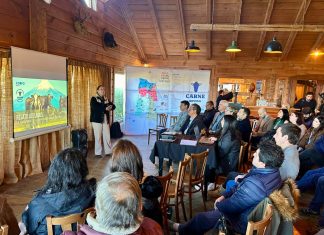 Cuatro años de trabajo conjunto consolidan a la Región de Los Lagos como referente de la carne bovina nacional
