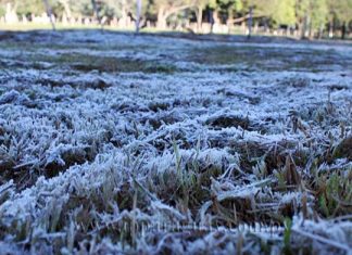 Delegación de Osorno refuerza medidas de seguridad ante ola de frío polar con temperaturas de hasta -4°C