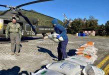INDAP y FACH entregan más de 13 toneladas de alimento para ganado en sectores aislados de Cochamó