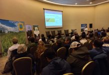 Expertos de la Universidad de Chile proponen praderas multiespecies para potenciar la lechería y reducir emisiones en el sur