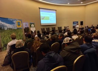 Expertos de la Universidad de Chile proponen praderas multiespecies para potenciar la lechería y reducir emisiones en el sur
