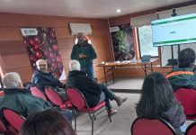 SAGO A.G y el SAG informan a productores sobre las obligaciones de la nueva Ley Apícola para proteger las abejas