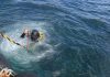 Armada elimina certificado de antecedentes para buzos extranjeros y desata alerta en Calbuco