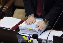 Senado aprobó la megarreforma tras larga jornada de votación en particular