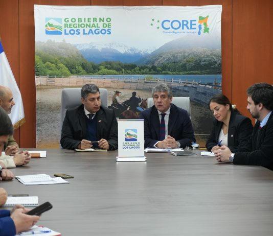 Lanzan plataforma de «Nudos Críticos» para destrabar inversión que podría generar 6 mil empleos en Los Lagos